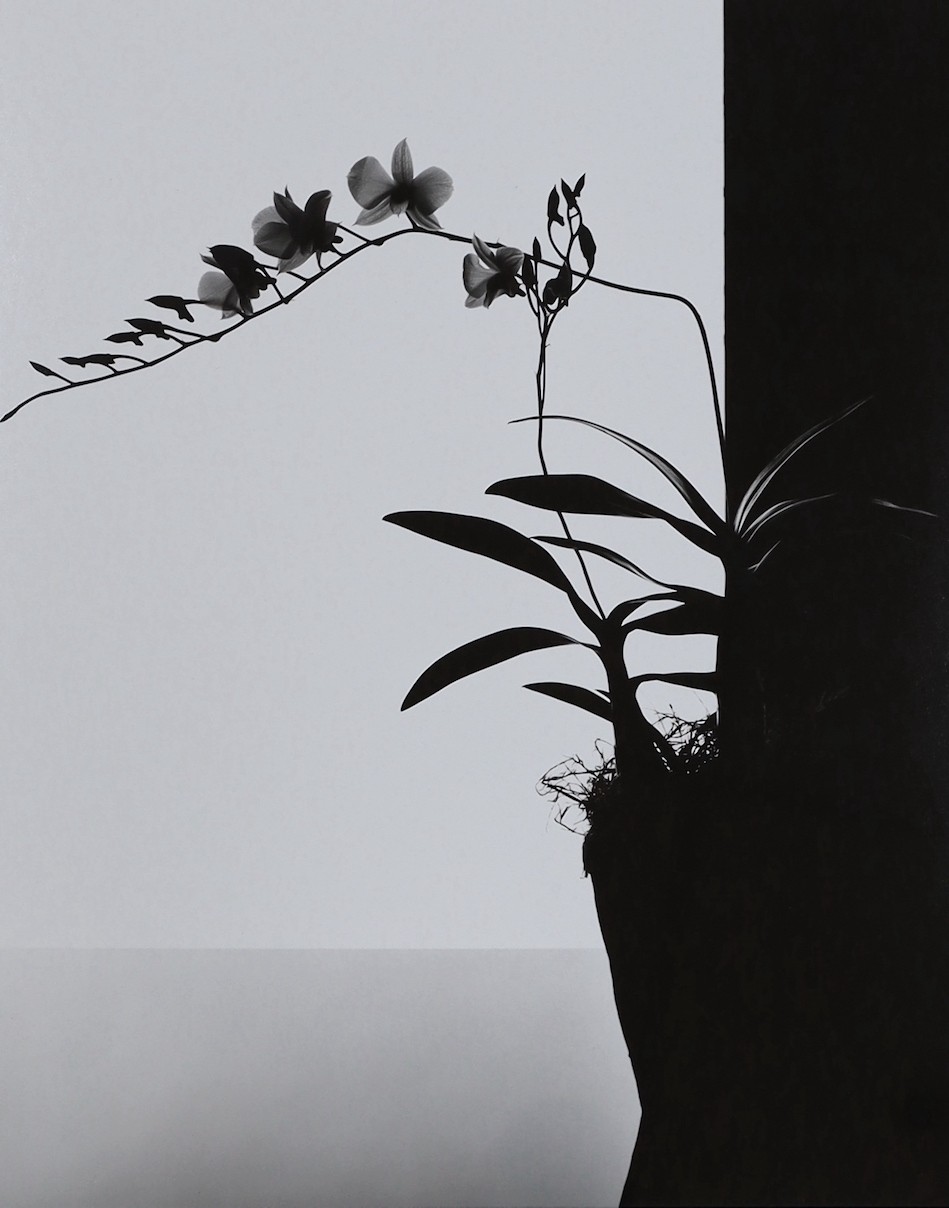 Attributed to Milton Brown, black and white photograph, 'Lillian Gish for The Wind 1927', Robin Bell reprint from 2014, 42 x 54cm and a Marc Stanes black and white photograph of an orchid, signed and dated '93 and number